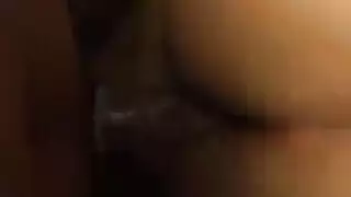 المشجع مبلل ناضجة المعلم