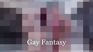 الحمار الخليجي