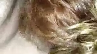 البظر الاسكتلندي المداعبة